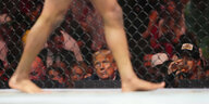 Die Beine eines Kämpfers im Achteck und Donald Trump als Zuschauer hinter dem Maschendraht